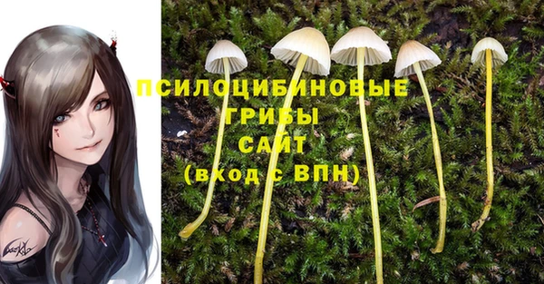гидропоника Абинск